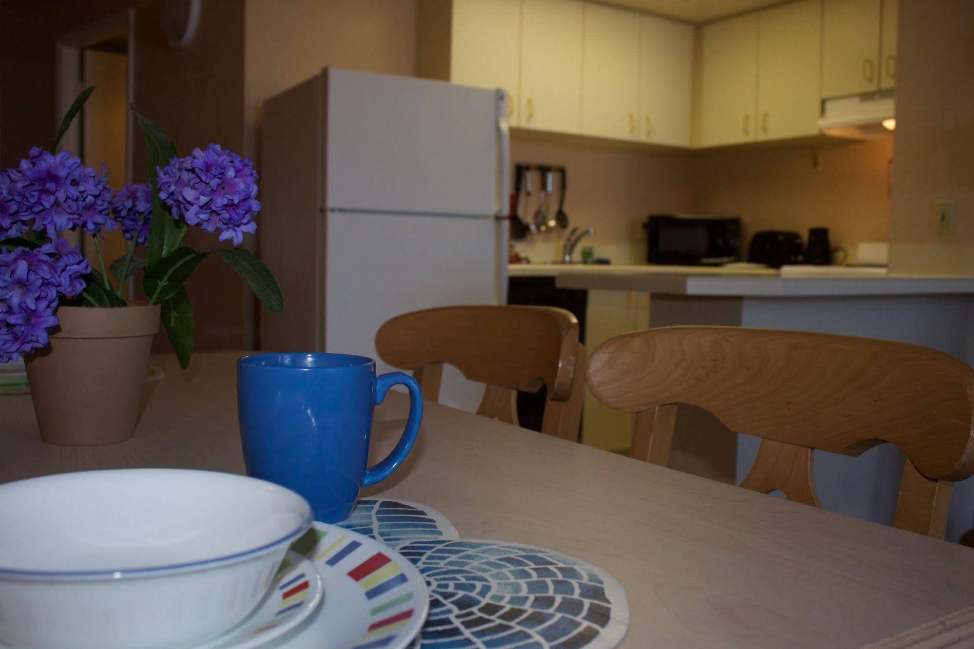 The Suites At Americano - Дейтона Бийч Екстериор снимка